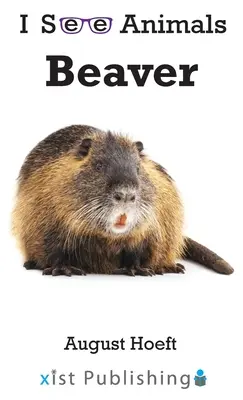 Castor - Beaver