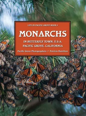MONARCAS En Butterfly Town U.S.A., Pacific Grove, California - MONARCHS In Butterfly Town U.S.A., Pacific Grove, California