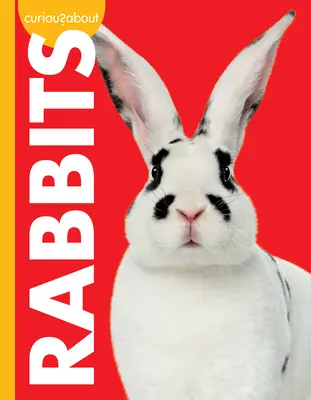 Curiosidad por los conejos - Curious about Rabbits