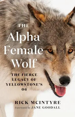 La hembra lobo alfa: el feroz legado de la 06 de Yellowstone - The Alpha Female Wolf: The Fierce Legacy of Yellowstone's 06