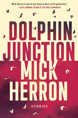 Dolphin Junction: Historias - Dolphin Junction: Stories