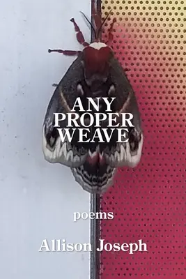 Cualquier Tejido Adecuado - Any Proper Weave