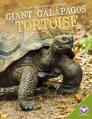 Tortuga gigante de Galápagos - Giant Galpagos Tortoise