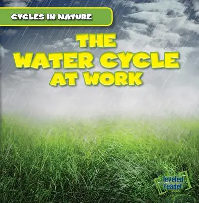 El ciclo del agua en acción - The Water Cycle at Work