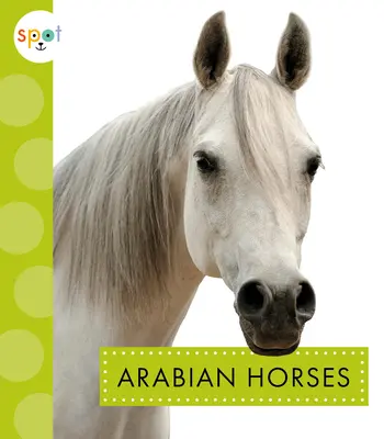 Caballos árabes - Arabian Horses