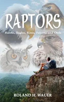 Rapaces: Halcones, águilas, milanos, halcones y búhos - Raptors: Hawks, Eagles, Kites, Falcons and Owls