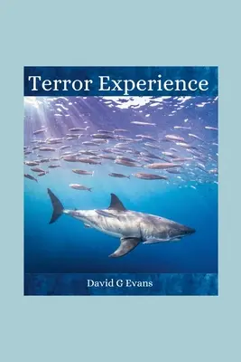 Experiencia de terror - Terror Experience