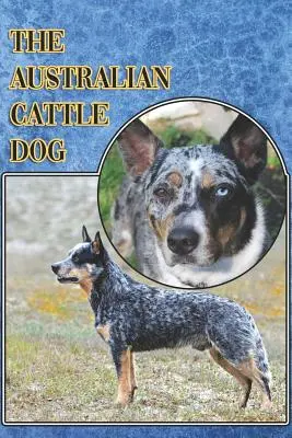 El Perro Boyero Australiano: A Complete and Comprehensive Beginners Guide To: Comprar, Tener, Salud, Aseo, Adiestramiento, Obediencia, Comprensión - The Australian Cattle Dog: A Complete and Comprehensive Beginners Guide To: Buying, Owning, Health, Grooming, Training, Obedience, Understanding