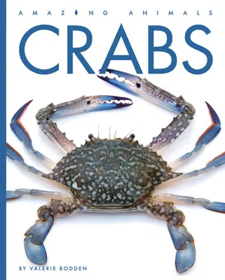 Cangrejos - Crabs