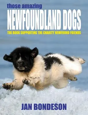 Los asombrosos perros de Terranova - Those Amazing Newfoundland Dogs