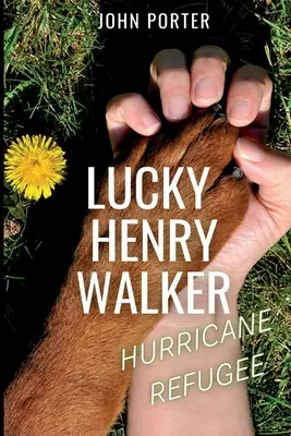 Lucky Henry Walker: Refugiado del huracán - Lucky Henry Walker: Hurricane Refugee