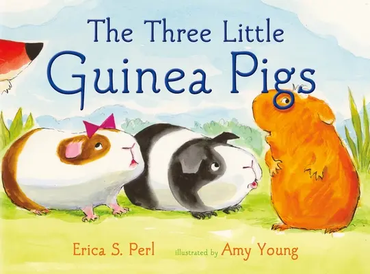 Los tres cerditos de Guinea - The Three Little Guinea Pigs