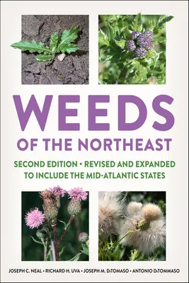 Las malas hierbas del noreste - Weeds of the Northeast
