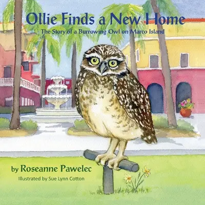 Ollie encuentra un nuevo hogar, la historia de un búho de madriguera en Marco Island - Ollie Finds a New Home, The Story of a Burrowing Owl on Marco Island