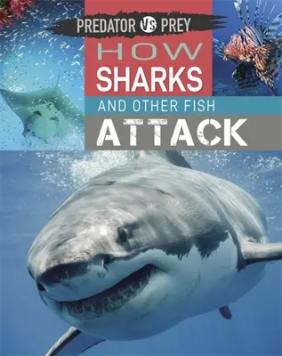 Depredador contra presa: cómo atacan los tiburones y otros peces - Predator Vs Prey: How Sharks and Other Fish Attack!