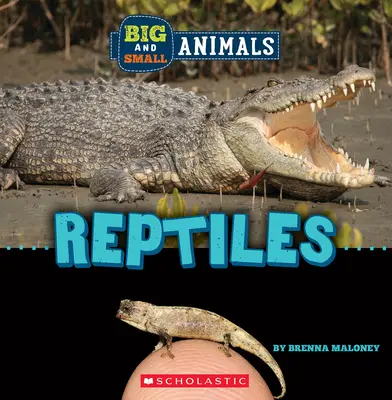 Reptiles (Mundo salvaje: Animales grandes y pequeños) - Reptiles (Wild World: Big and Small Animals)