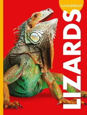 Curiosidad por los Lagartos - Curious about Lizards