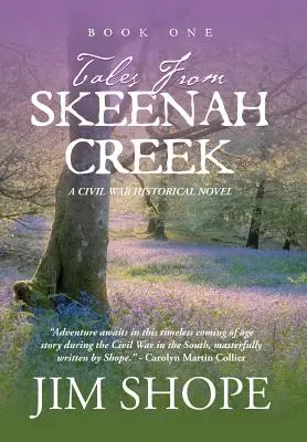Cuentos de Skeenah Creek: Una novela de ficción histórica de la Guerra Civil - Tales From Skeenah Creek: A Civil War Historical Fiction Novel