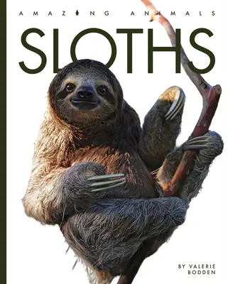 Perezosos - Sloths