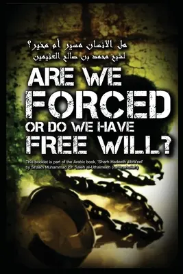 ¿Estamos obligados o tenemos libre albedrío? - Are we Forced or do we have a Free Will