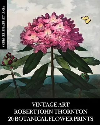 Arte Vintage: Robert John Thornton 20 Botanical Flower Prints - Vintage Art: Robert John Thornton 20 Botanical Flower Prints