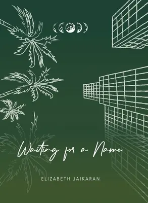 Esperando un nombre - Waiting for a Name