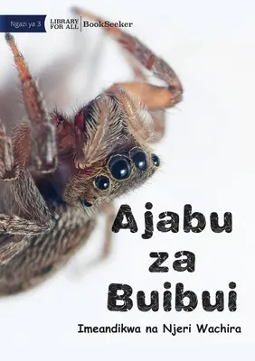 Arañas asombrosas - Ajaba zu Buibui - Amazing Spiders - Ajaba zu Buibui