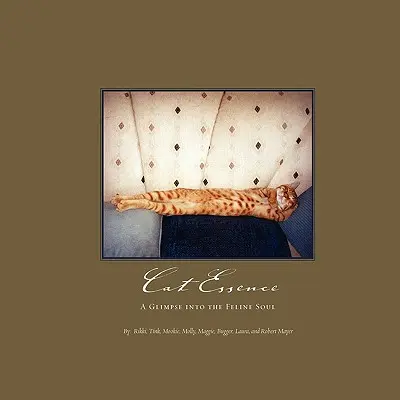 La esencia del gato: Un vistazo al alma felina - Cat Essence: A Glimpse Into the Feline Soul