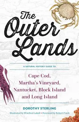 The Outer Lands: Guía de historia natural de Cape Cod, Martha's Vineyard, Nantucket, Block Island y Long Island - The Outer Lands: A Natural History Guide to Cape Cod, Martha's Vineyard, Nantucket, Block Island, and Long Island