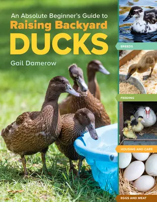 Guía para principiantes sobre la cría de patos de traspatio: Razas, alimentación, alojamiento y cuidado, huevos y carne - An Absolute Beginner's Guide to Raising Backyard Ducks: Breeds, Feeding, Housing and Care, Eggs and Meat