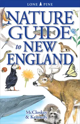 Guía de la naturaleza de Nueva Inglaterra - Nature Guide to New England