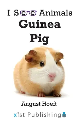 Cerdo de Guinea - Guinea Pig