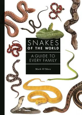 Serpientes del mundo: Guía para todas las familias - Snakes of the World: A Guide to Every Family