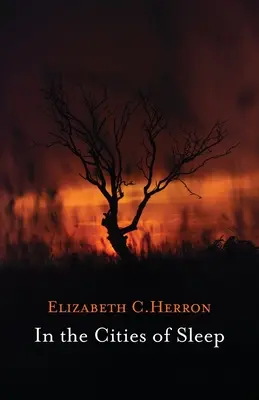 En las ciudades del sueño - In the Cities of Sleep