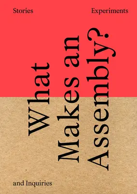 ¿Qué es una asamblea? Historias, experimentos e indagaciones - What Makes an Assembly?: Stories, Experiments, and Inquiries