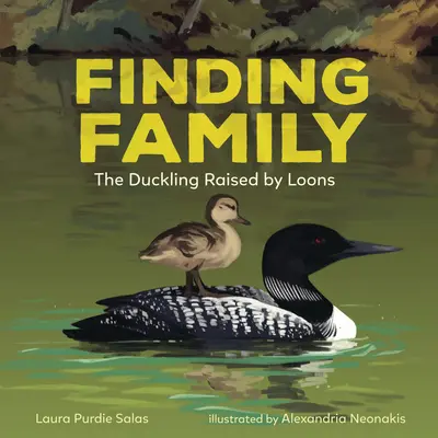 En busca de la familia: El patito criado por los somormujos - Finding Family: The Duckling Raised by Loons