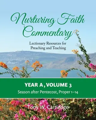 Nurturing Faith Commentary, Year A, Volume 3: Lectionary Resources for Preaching and Teaching-Season after Pentecost: Propios 1-14 - Nurturing Faith Commentary, Year A, Volume 3: Lectionary Resources for Preaching and Teaching-Season after Pentecost: Proper 1-14