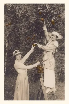 Diario Vintage Women Picking Oranges - Vintage Journal Women Picking Oranges