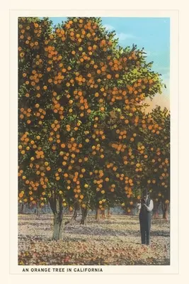 Diario Vintage Orange Grove - Vintage Journal Orange Grove