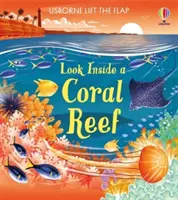 Mira dentro de un arrecife de coral - Look inside a Coral Reef