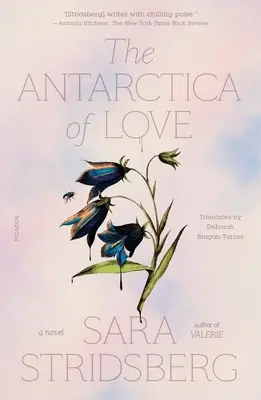 La Antártida del Amor - The Antarctica of Love