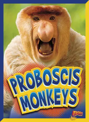 Monos Proboscis - Proboscis Monkeys