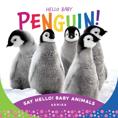 ¡Hola Bebé Pingüino! - Hello Baby Penguin!