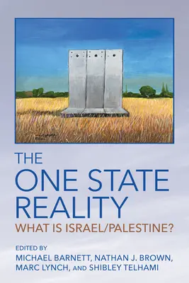 La Realidad de Un Estado: ¿Qué es Israel/Palestina? - The One State Reality: What Is Israel/Palestine?