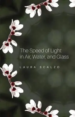 La velocidad de la luz en el aire, el agua y el cristal - The Speed of Light in Air, Water, and Glass