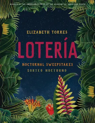 Lotera: Sorteo Nocturno - Lotera: Nocturnal Sweepstakes