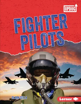 Pilotos de caza - Fighter Pilots