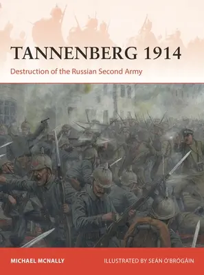 Tannenberg 1914: Destrucción del Segundo Ejército Ruso - Tannenberg 1914: Destruction of the Russian Second Army
