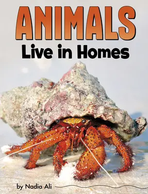 Los animales viven en casas - Animals Live in Homes