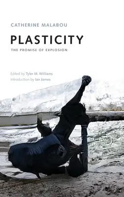 Plasticidad: La promesa de una explosión - Plasticity: The Promise of Explosion